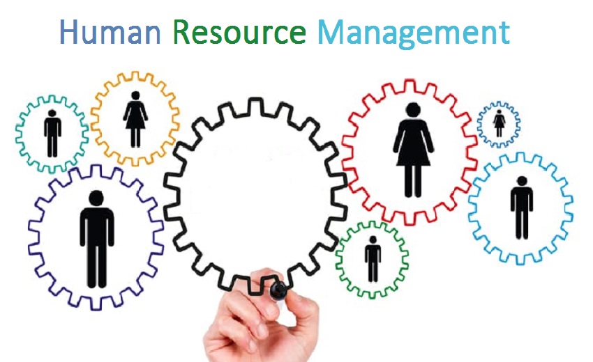 6 Functions Of Human Resource Management System
