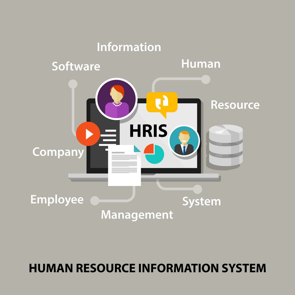 human resources information system software