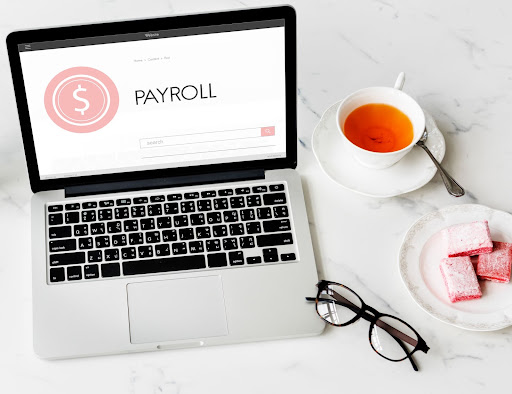 How is Online Payroll Management Software Helping HR Professionals Nowadays?